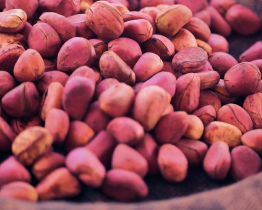 What is Kola Nut? An Ancient Superfood