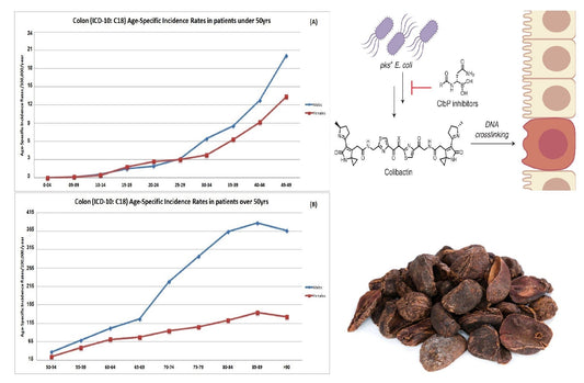 Why Colon Cancer Is Rising in Young People, And How Kola Nut Could Play a Role in Reducing it